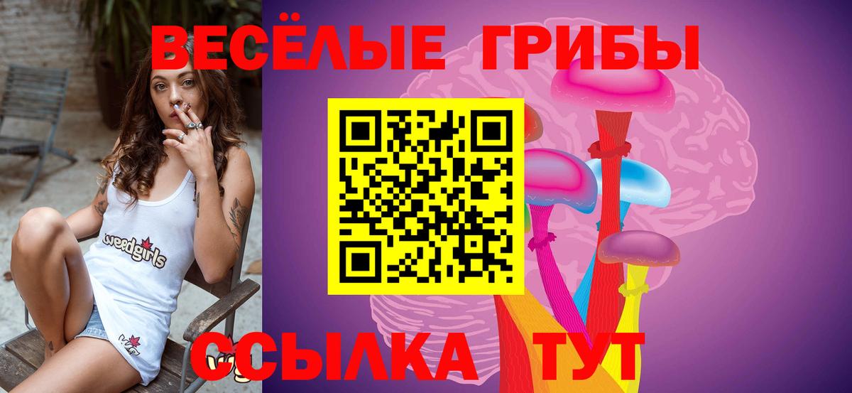 Галлюциногенные грибы мухоморы Краснокаменск