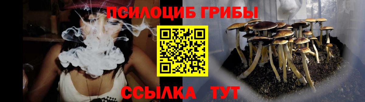 Псилоцибиновые грибы MAGIC MUSHROOMS  Вход с VPN  Краснокаменск 